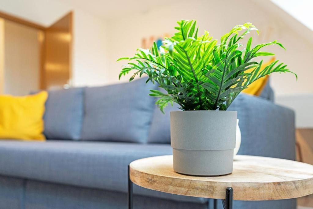 Zentrale Wohnung, 2 Betten,vollmoebliert,nahe Btu,balkon- Parkpkatz Auf Anfrage Cottbus